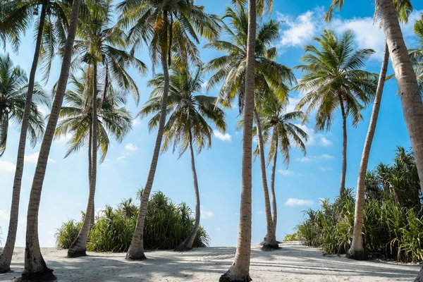 Quels sont les avantages du tourisme écologique pour les communautés locales ?